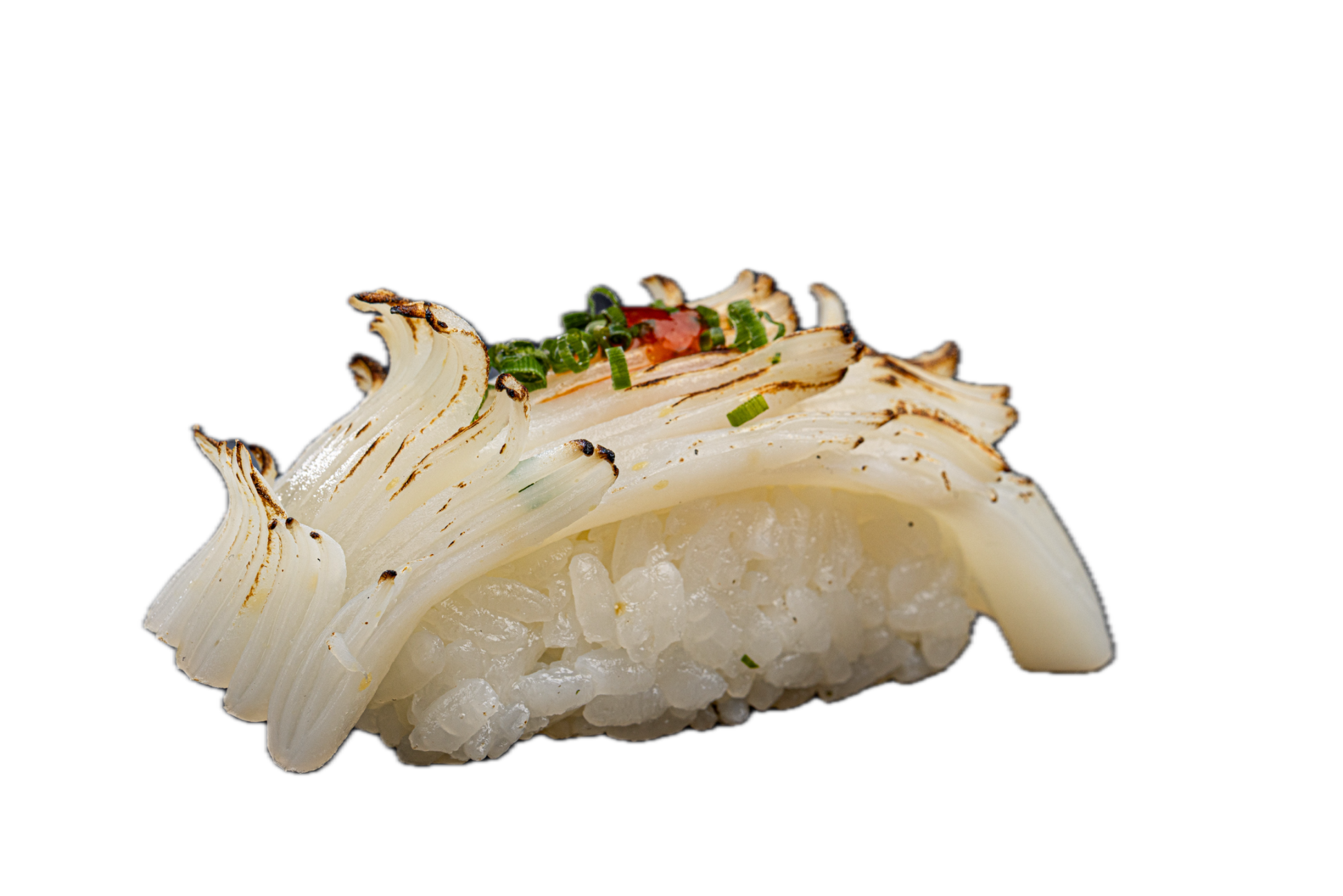 NIGIRI_KALMAR